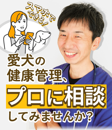 スマホでできる!愛犬の健康管理、プロに相談してみませんか?