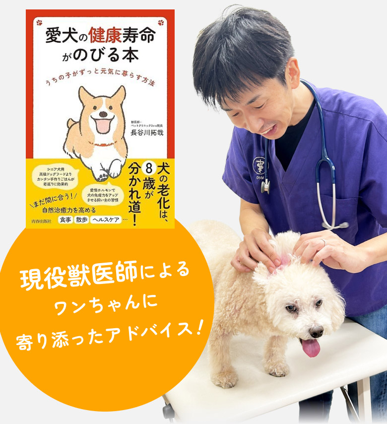 現役獣医師によるワンちゃんに寄り添ったアドバイス!